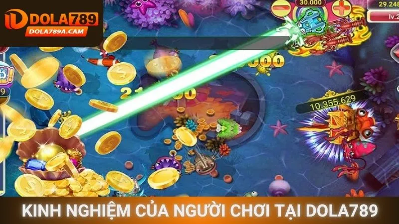 Kinh nghiệm của những người đi trước tại Dola789