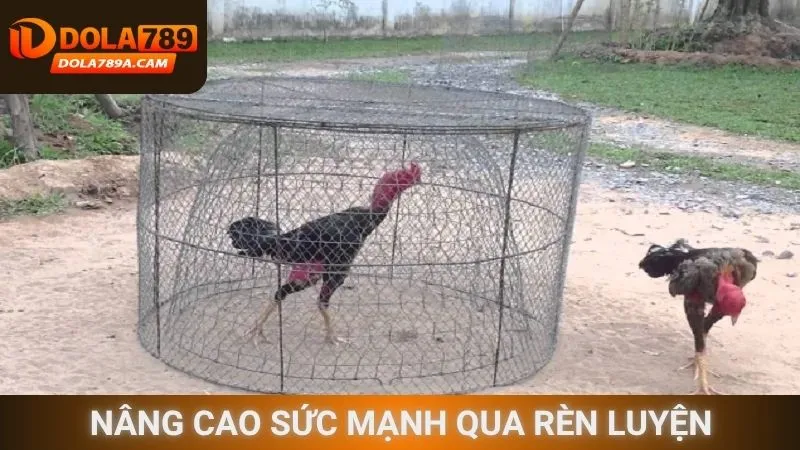 Nâng cao sức mạnh qua rèn luyện