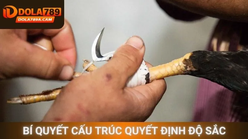 Bí quyết cấu trúc quyết định độ sắc