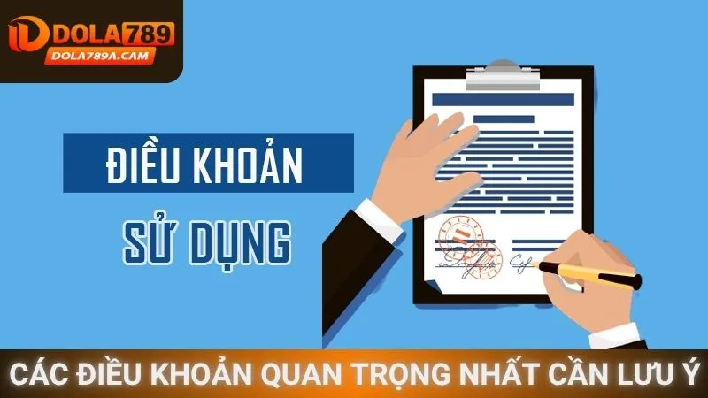 Các điều khoản quan trọng nhất cần lưu ý