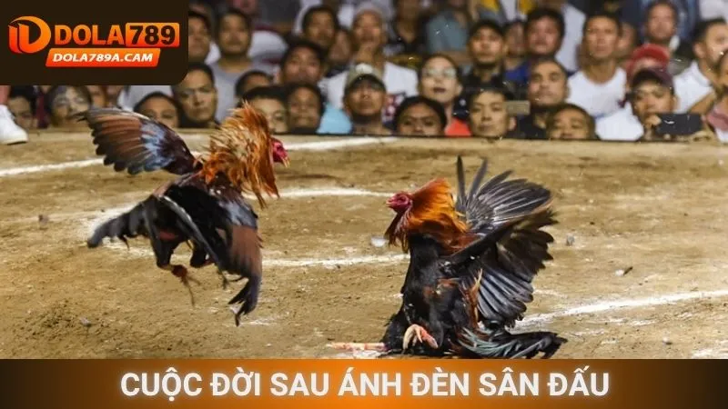 Cuộc đời sau ánh đèn sân đấu