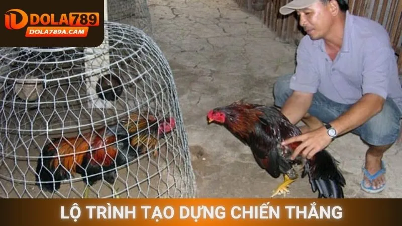Lộ trình tạo dựng chiến thắng