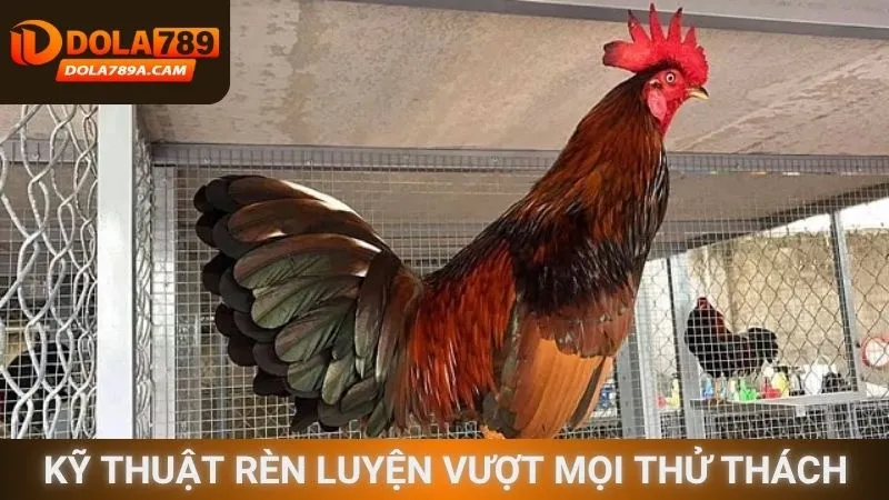 Kỹ thuật rèn luyện vượt mọi thử thách