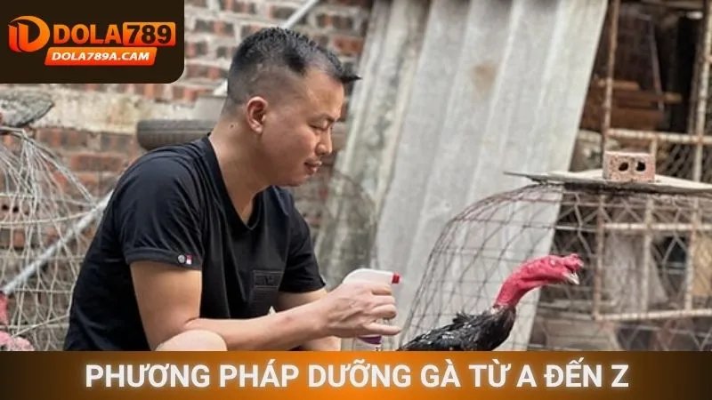Phương pháp dưỡng gà từ A đến Z