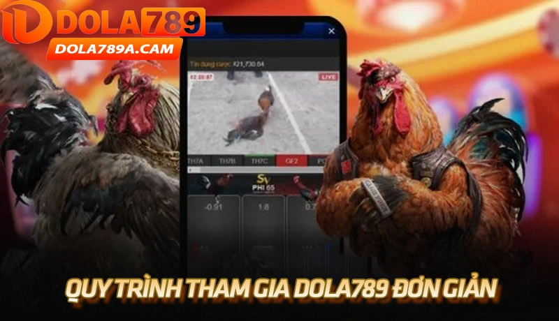 Quy trình tham gia Dola789 đơn giản và tiện lợi