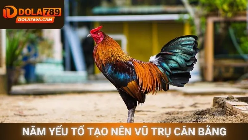 Năm yếu tố tạo nên vũ trụ cân bằng