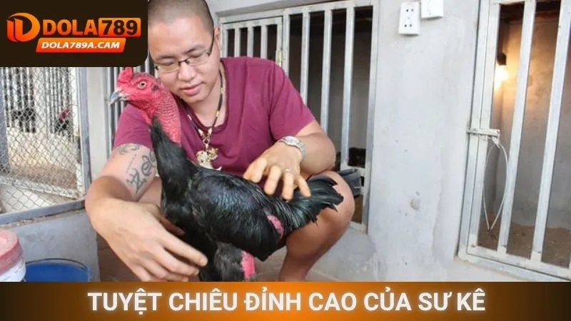 Tuyệt chiêu đỉnh cao của sư kê